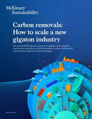 Carbon Removals How To Scale A New Gigaton Industry McKinsey